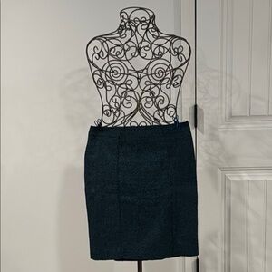 Banana Republic Green Skirt